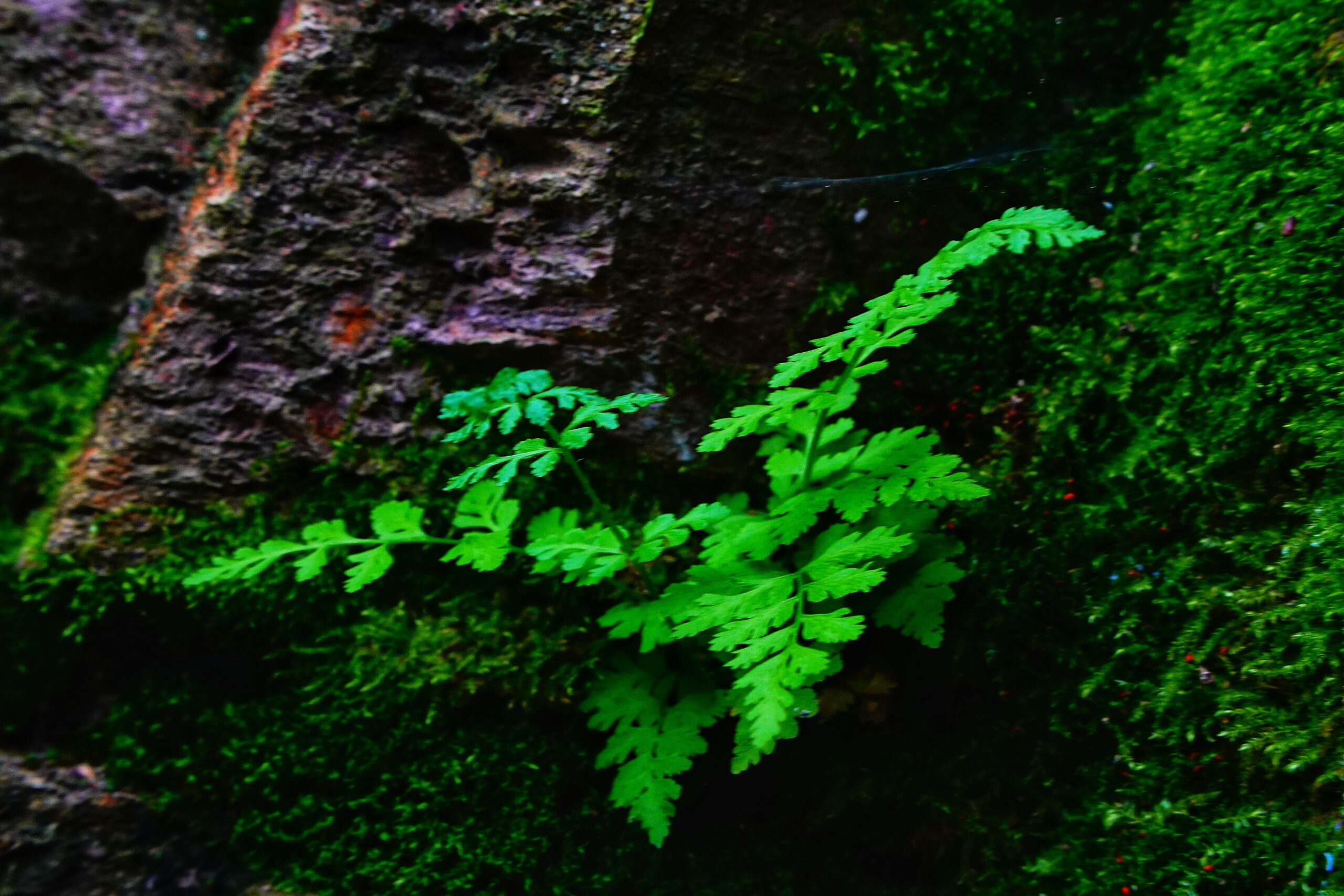 Fotokurzy Pavel Hrejsemnou Kutná Hora. Profesionální fotokurzy v Kutné Hoře. Kurzy fotografie s Pavlem Hrejsemnou. Fotografické workshopy v Kutné Hoře. Kurzy pro začátečníky i pokročilé fotografy. Umělecké fotokurzy s osobním přístupem. Kurzy fotografie v praxi s Pavlem Hrejsemnou. Fotokurzy zaměřené na konkrétní fotografické techniky. Fotografické kurzy pro všechny věkové kategorie. Kurzy fotografování architektury a krajiny v Kutné Hoře. Individuální konzultace a poradenství v rámci kurzů. Kurzy portrétní fotografie s Pavlem Hrejsemnou. Fotokurzy pro zvýšení kreativity a technických dovedností. Kurzy fotografování svateb a událostí. Kontaktní informace pro přihlášení na fotokurzy s Pavlem Hrejsemnou.