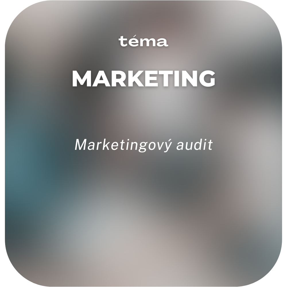 Marketingový audit