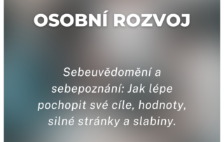 Sebeuvědomění a sebepoznání: Jak lépe pochopit své cíle, hodnoty, silné stránky a slabiny.