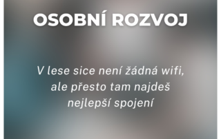 V lese sice není žádná wifi, ale přesto tam najdeš nejlepší spojení