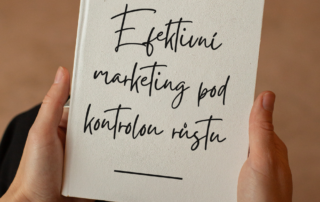 Efektivní marketing pod kontrolou: Proč je strategický mentoring pro management klíčem k udržitelnému růstu