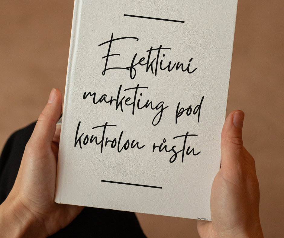 Efektivní marketing pod kontrolou: Proč je strategický mentoring pro management klíčem k udržitelnému růstu
