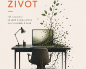 Práce, která Život: Manifest proti vyhoření a matrixu | Pavel Hrejsemnou