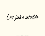 Les jako ateliér: Jak fotit přírodu, aby fotky dýchaly (a nebyly jen „hezké obrázky")