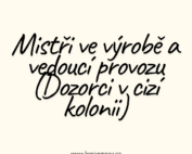 Mistři ve výrobě a vedoucí provozu (Dozorci v cizí kolonii)