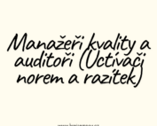 Manažeři kvality a auditoři (Uctívači norem a razítek)